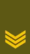 LT-Army-OR6a.gif