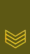 LT-Army-OR6b.gif