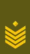 LT-Army-OR8.gif
