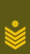 LT-Army-OR9.gif