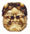 Oni netsuke front.jpg