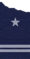 Teniente (FACH).png