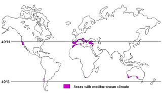 Medclim.png