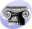 P Architecture.png