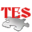 Tes-project.png
