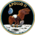 Apollo 11 insignia.png