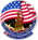 STS-41-G