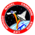 STS-37
