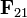 \mathbf{F}_{21}