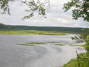 Река в нижнем течении