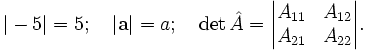 |-5|=5; \quad |\mathbf{a}|=a; \quad \det\hat{A} = \begin{vmatrix} A_{11} &amp; A_{12} \\ A_{21} &amp; A_{22} \end{vmatrix}.
