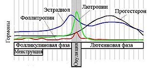 Лютеинизирующий гормон chemical structure