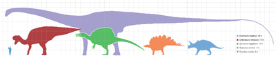 Largestdinosaursbysuborder scale.png