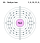 Electron shell 060 Neodymium.svg