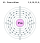 Electron shell 061 Promethium.svg