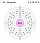 Electron shell 063 Europium.svg