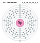 Electron shell 093 Neptunium.svg
