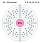 Electron shell 094 Plutonium.svg