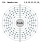 Electron shell 116 Ununhexium.svg