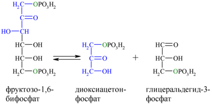 Reaction-F16BP-DOAP-GA3P.png