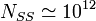 N_{SS}\simeq 10^{12}
