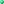 SpringGreen pog.svg