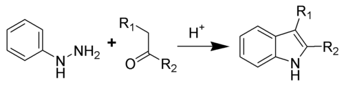 Fischer Indole Reaction Scheme.png