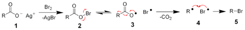 Hunsdiecker Reaction Mechanism.png
