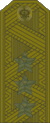 Rus Colonel General field.gif