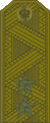 Rus Lieutenant General field.gif