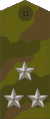 Rus colonel field.gif