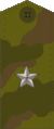 Rus major field.gif