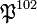 \mathfrak{P}^{102}