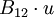 B_{12} \cdot u
