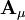 \mathbf{A}_\mu