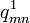 q_{mn}^1