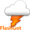 FlashgotLogo.png