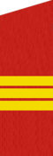 P4-sg.png