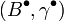 (B^\bullet, \gamma^\bullet)