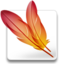Adobe ImageReady logo.png