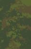 1pvt.png