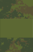 5stsg.png