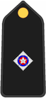 Insignia PM O6.PNG