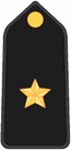 Insignia PM O7.PNG