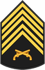 Insignia PM P1.PNG