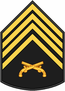 Insignia PM P2.PNG