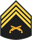 Insignia PM P3.PNG