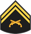 Insignia PM P5.PNG