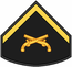 Insignia PM P6.PNG