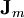 \mathbf{J}_m